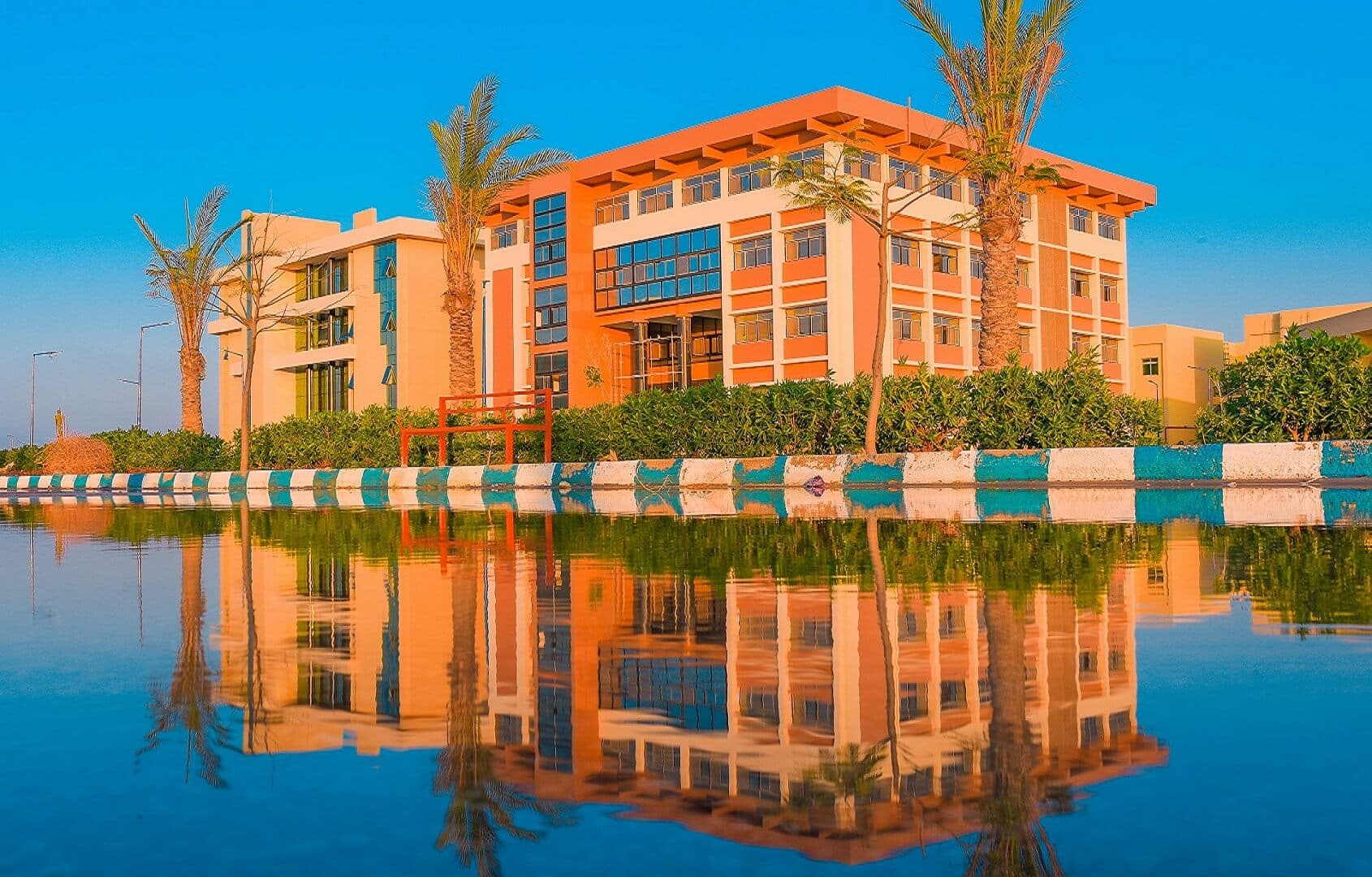 جامعة العريش - 2