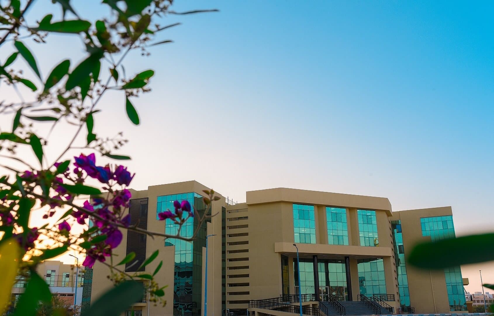 جامعة العريش - 3